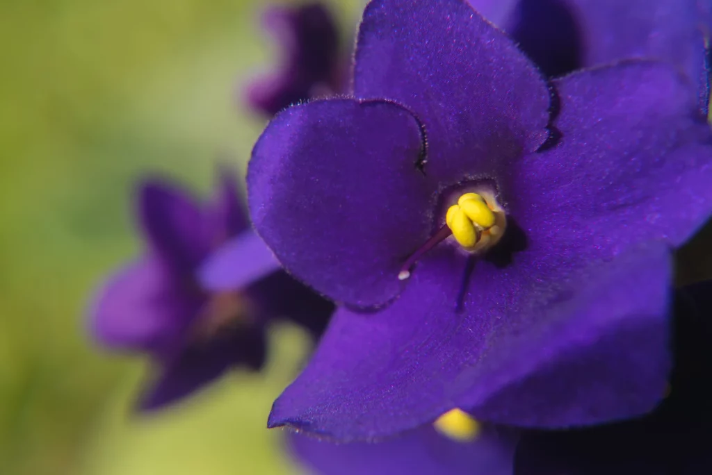 Sobre a Rede Marista